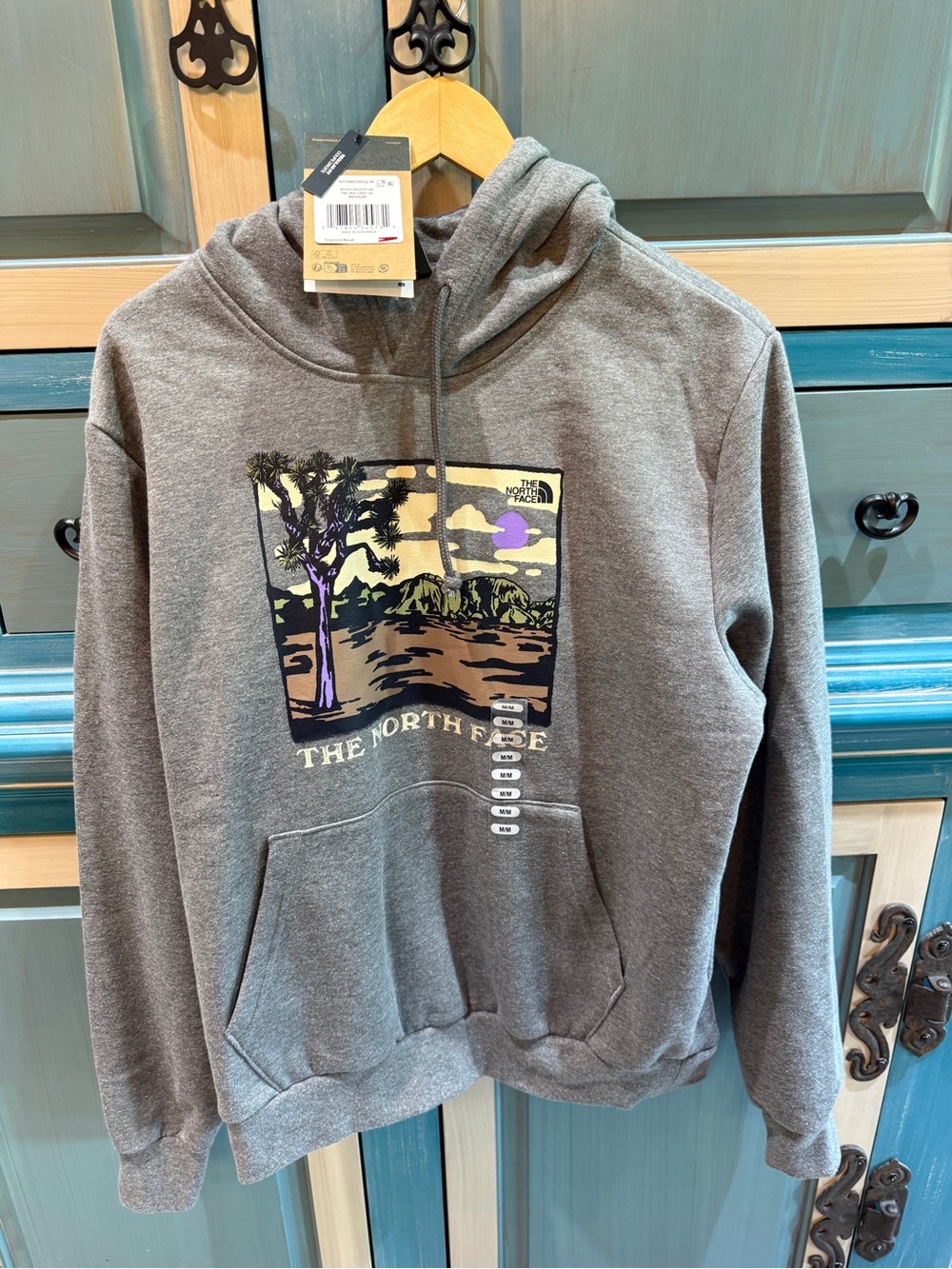 NWT The North Face Gray Crewneck Hoodie with Scenic Graphic